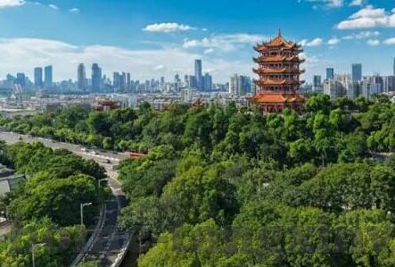 91麻豆不卡视频-追寻影像的新境界，91麻豆不卡视频的精彩瞬间