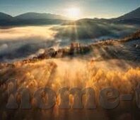 成人免费视频一区二区-成人免费视频一区二区，网络时代的隐秘角落
