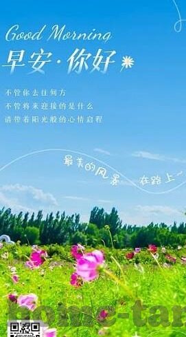 大象传媒系列视频网站-大象传媒系列视频网站，重塑数字娱乐的多元化新篇章