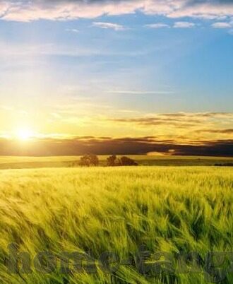 韩国伦理电影免费中-韩国伦理电影，透视人性与社会的多棱镜