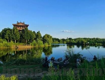 igao麻豆传媒-关键视角下的网络文化现象，IGAO与麻豆传媒的双重透视