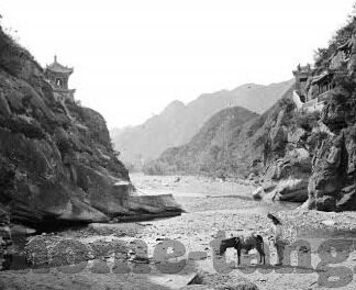 林仙踪麻豆91-穿越林间仙境，一场意外的麻豆91之旅