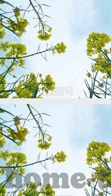 麻豆91短视频-网络现象的另一面，麻豆91短视频的透视