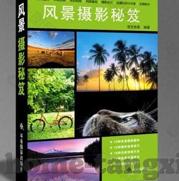 麻豆精视频-麻豆精视频，新媒体时代下内容创作的鲜活案例