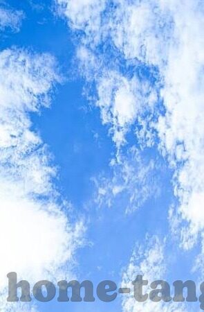 糖心app软件下载破解ios-探索数字化生活的双重边界，糖心APP与iOS平台的和谐共生