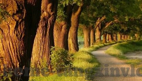 糖心官网入口-踏入全新探索的门槛，体验糖心平台的独特魅力