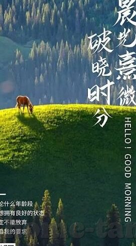 天天干人妻-天天干人妻，一种扭曲的道德观念与人际关系探讨